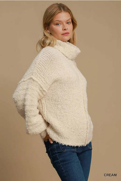 Turtleneck Sweater